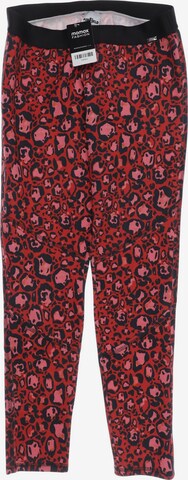 AIRFIELD Pants in XL in Red: front
