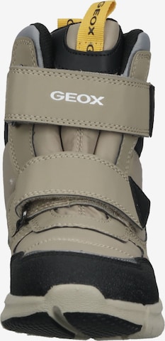 GEOX Boots in Beige