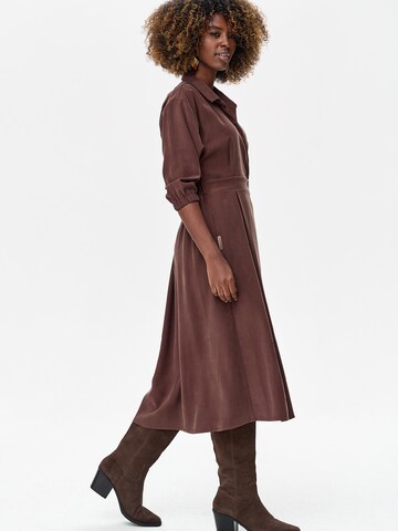 Blue Shadow Dress in Brown