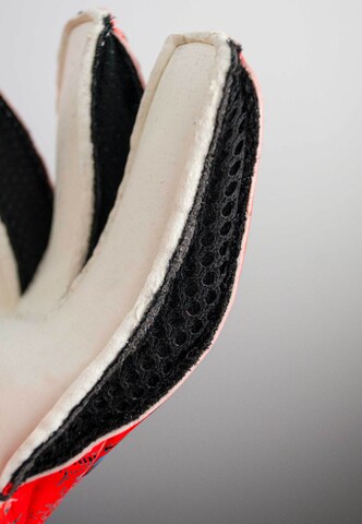 REUSCH Sports gloves 'Attrakt Grip' in Red