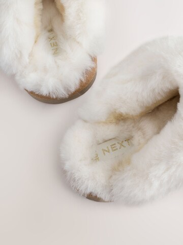 Next - Zapatillas de casa en marrón