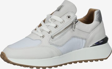 SCAPA Sneakers in White: front