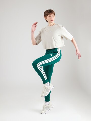ADIDAS SPORTSWEAR - Tapered Pantalón deportivo en verde