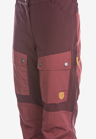 Whistler Regular Outdoor Pants 'ANISSY' in Mixed colors