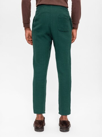 Slimfit Pantaloni di Antioch in verde