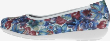 Natural Feet Ballet Flats 'Carola' in Blue: front