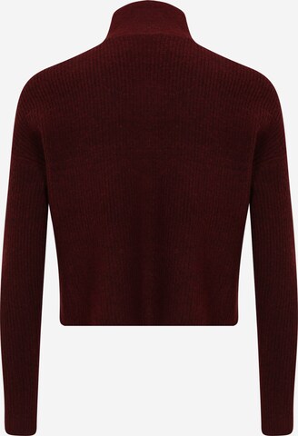 Noisy May Petite Sweater 'NEWALICE' in Red