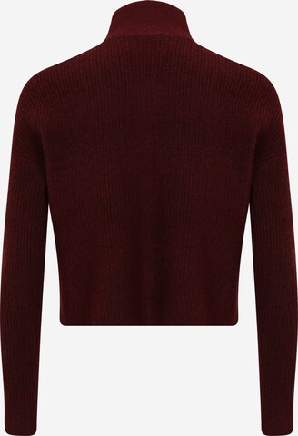 Noisy May Petite Pullover 'NEWALICE' in Rot