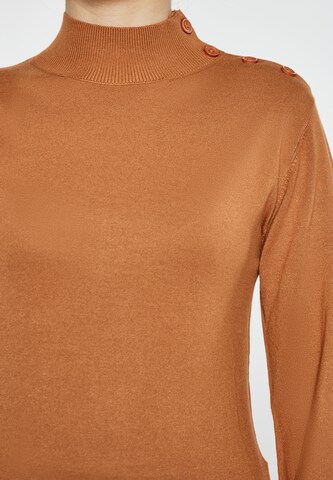 Pull-over usha BLACK LABEL en marron