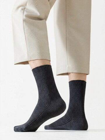 Millo Socken 'Cosy Steps'‌‌‌ in Grau: Vorderseite