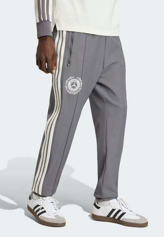ADIDAS PERFORMANCE - Tapered Calças de desporto em cinzento: frente