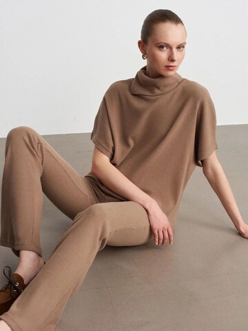 Dilvin Shirt in Brown: front