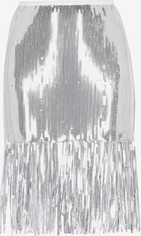 myMo at night Skirt in Silver: front