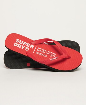 Superdry T-Bar Sandals in Red