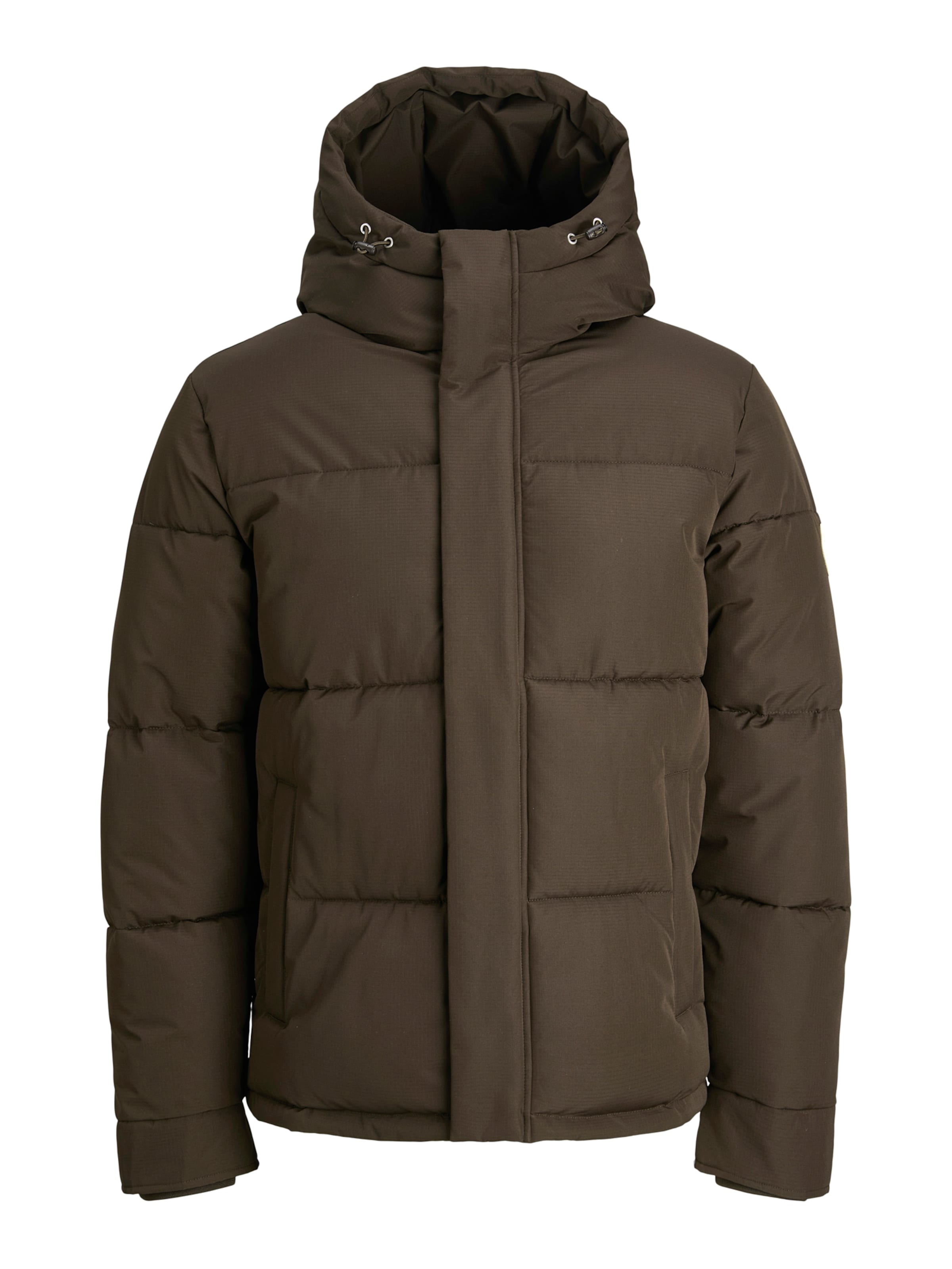 JACK & JONES - Casaco de inverno 'JORIN' em castanho: frente