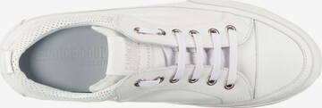 Candice Cooper Sneakers in White