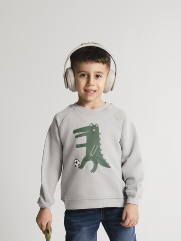 SATURNDAY - Sudadera 'Krokodil Football' en gris: frente