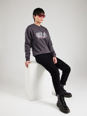 ALPHA INDUSTRIES Sweatshirt i grå