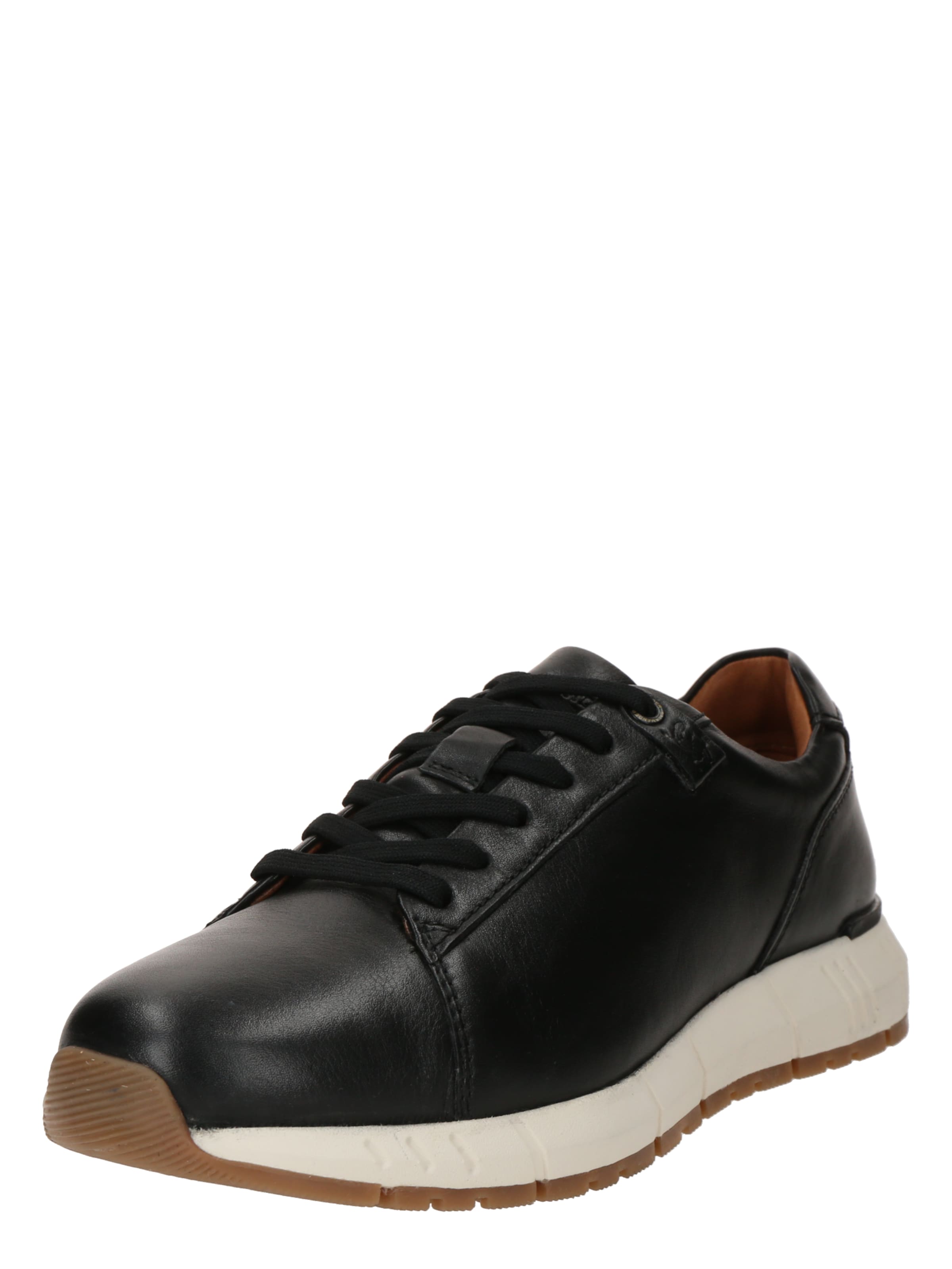 SALAMANDER Låg sneaker i svart: framsida