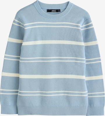 mėlyna Next Megztinis: priekis