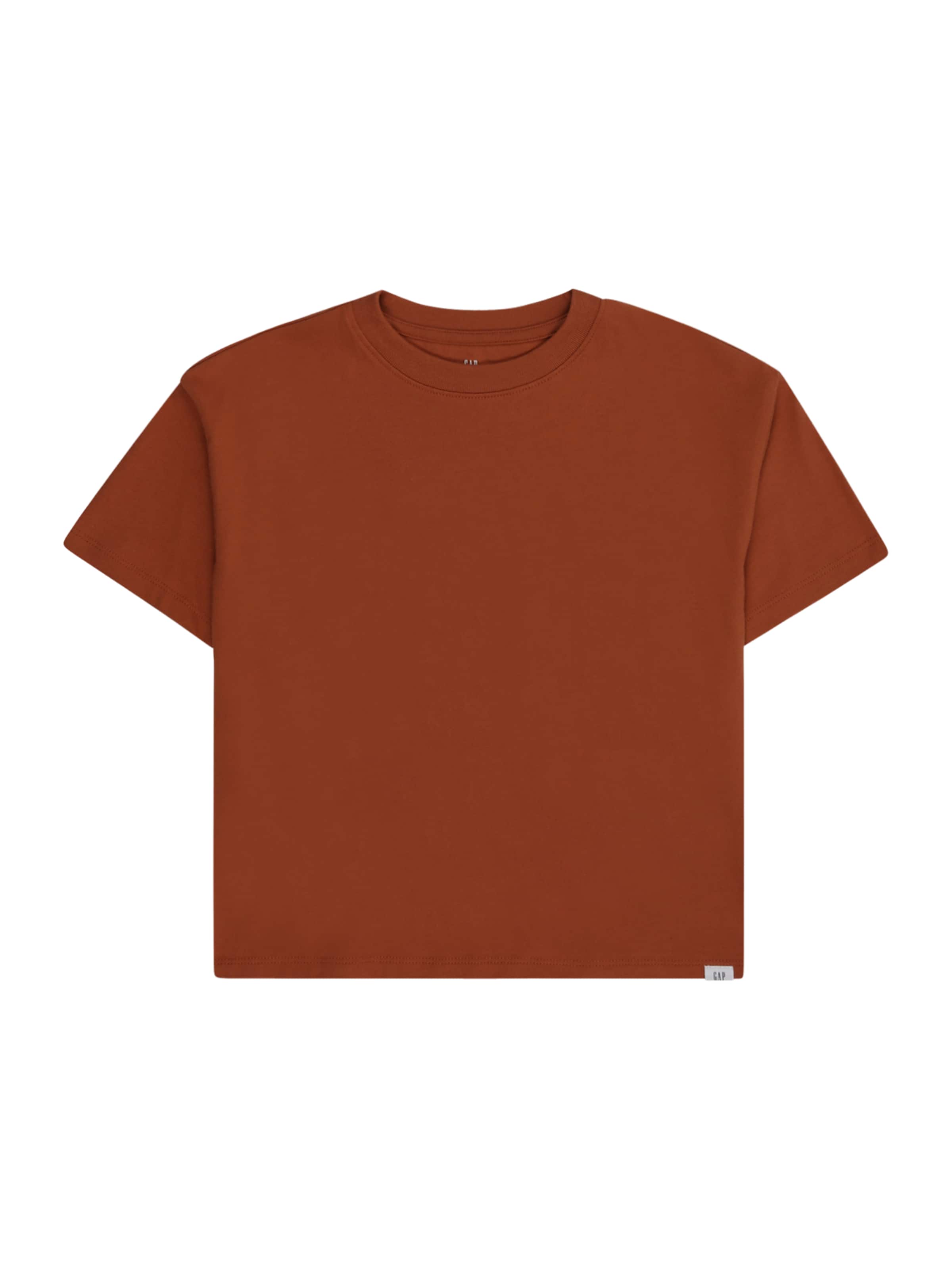 GAP Tričko - Hnedá: predná strana