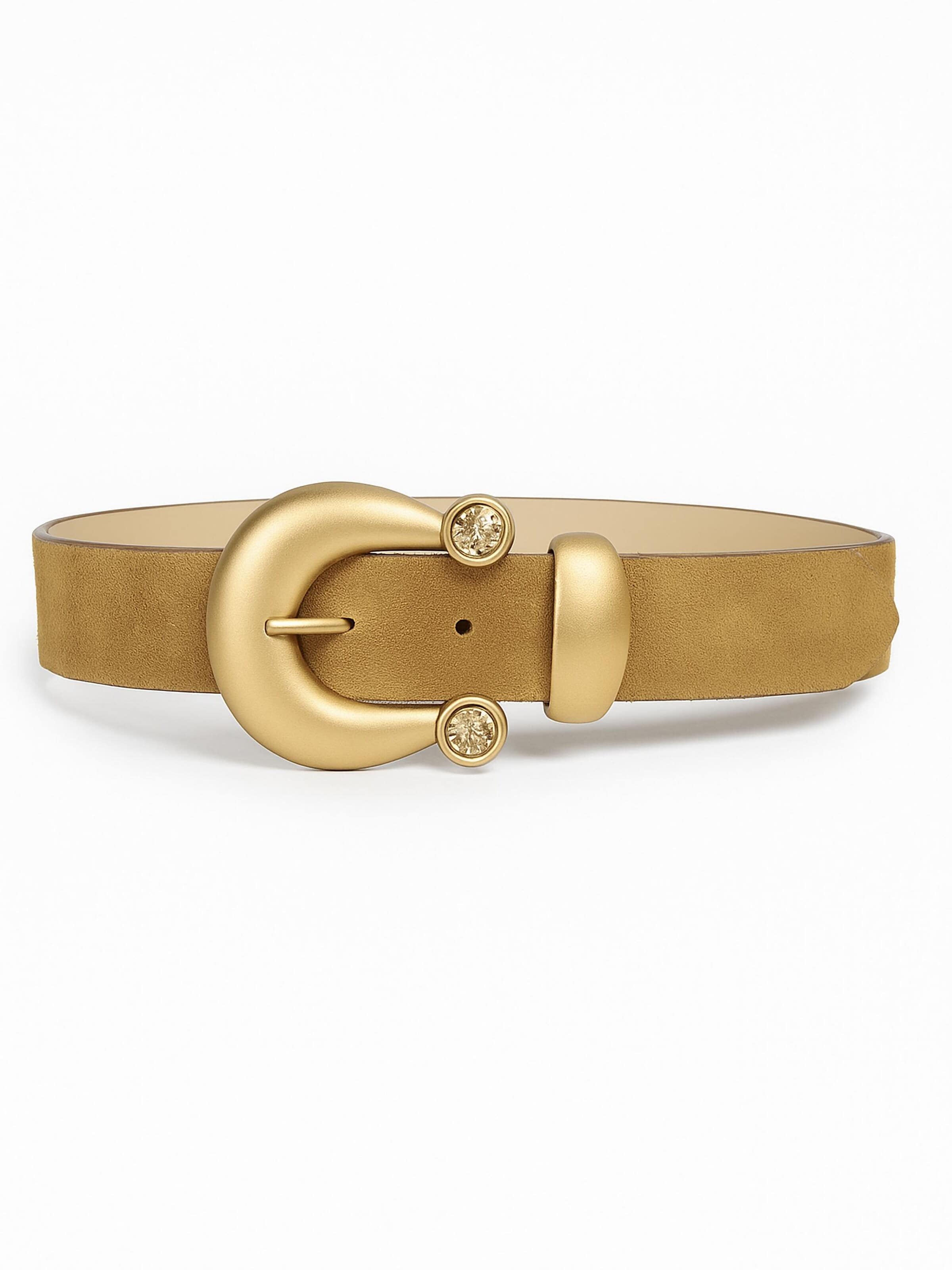 COLLEZIONE ALESSANDRO Belt 'Persia Glam' in Brown: front