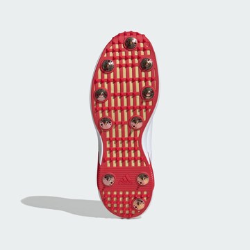 ADIDAS PERFORMANCE Sportschoen 'Adipower Vector 20' in Wit