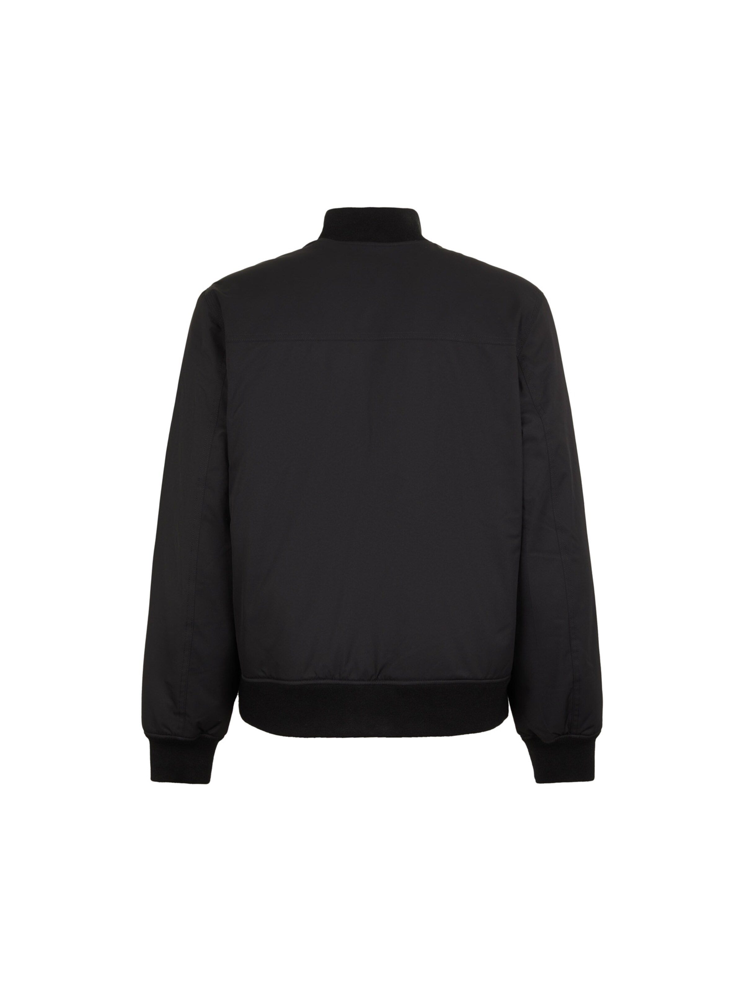 DICKIES Övergångsjacka i svart