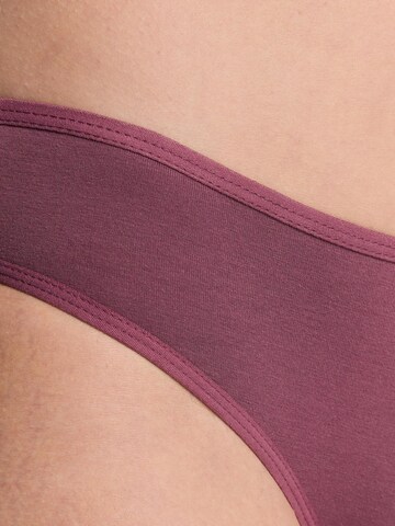 Albero Natur Panty in Red