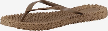 ILSE JACOBSEN T-Bar Sandals 'Cheerful 02' in Brown: front