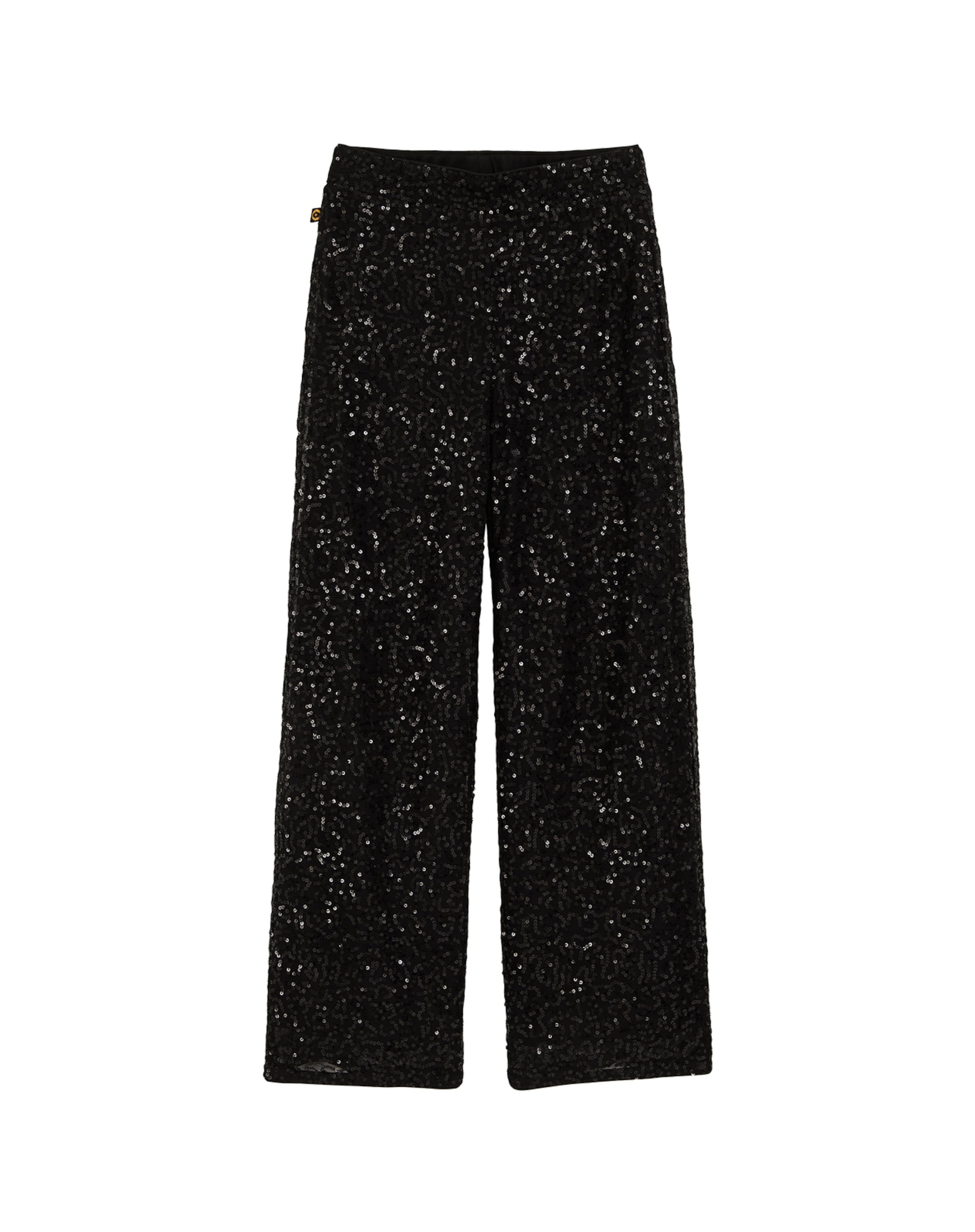 WE Fashion Regularen Hlače | črna barva: sprednja stran