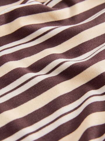 Next T-Shirt in Mischfarben