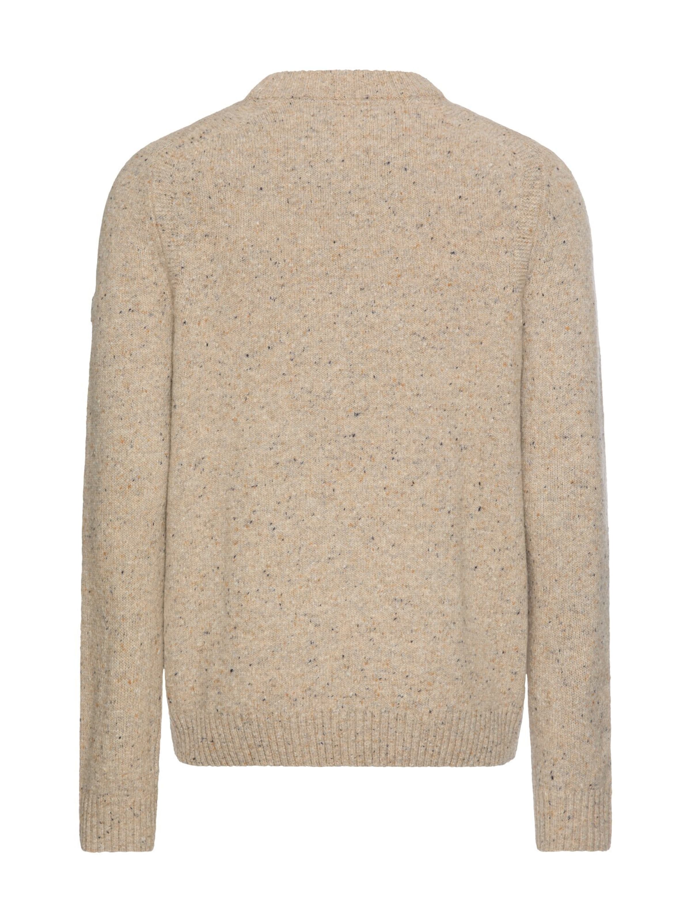 CAMEL ACTIVE Sweater in Beige