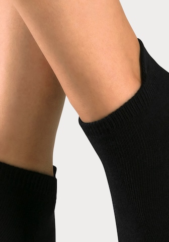 H.I.S Socks in Black