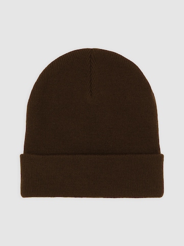 DICKIES Čiapky 'Gibsland' - Hnedá