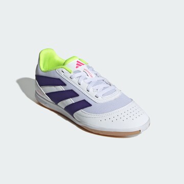 Chaussure de sport 'Predator Club Sala' ADIDAS PERFORMANCE en blanc