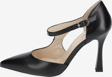 Nero Giardini Pumps in Schwarz