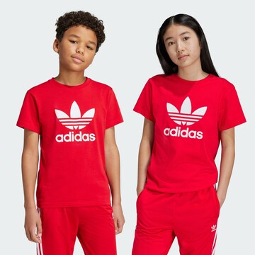 Maglietta 'Adicolor Trefoil' di ADIDAS ORIGINALS in rosso: frontale