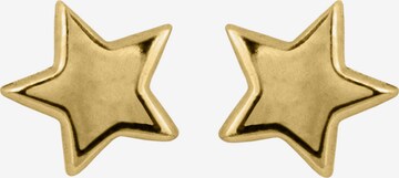 Jacques Lemans Earrings in Gold: front