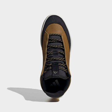 ADIDAS SPORTSWEAR Sneaker in Braun