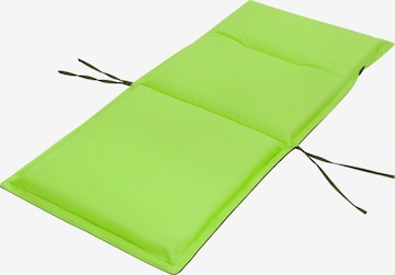 Aspero Stuhlauflagen in Grün