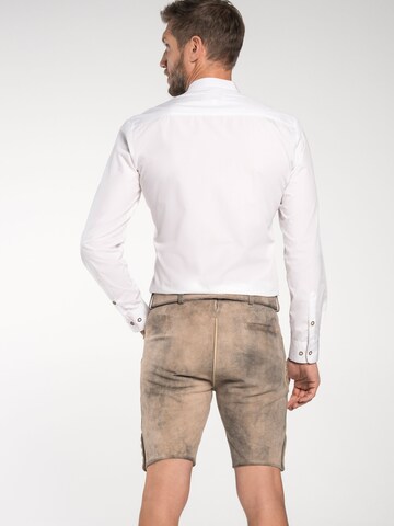 SPIETH & WENSKY Regular Traditional pants in Brown