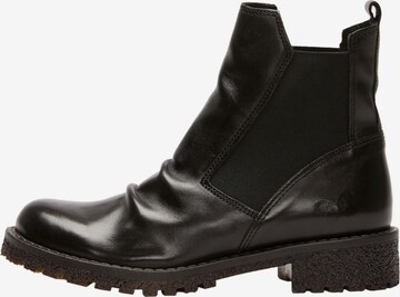 Chelsea Boots 'Caster C801' FELMINI en noir