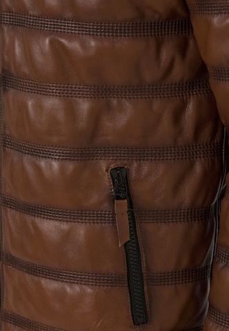 Jimmy Sanders Prehodna jakna | rjava barva