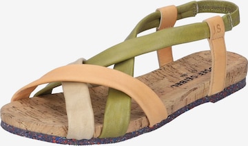 JOSEF SEIBEL Sandals 'HENRIETTE' in Mixed colors: front