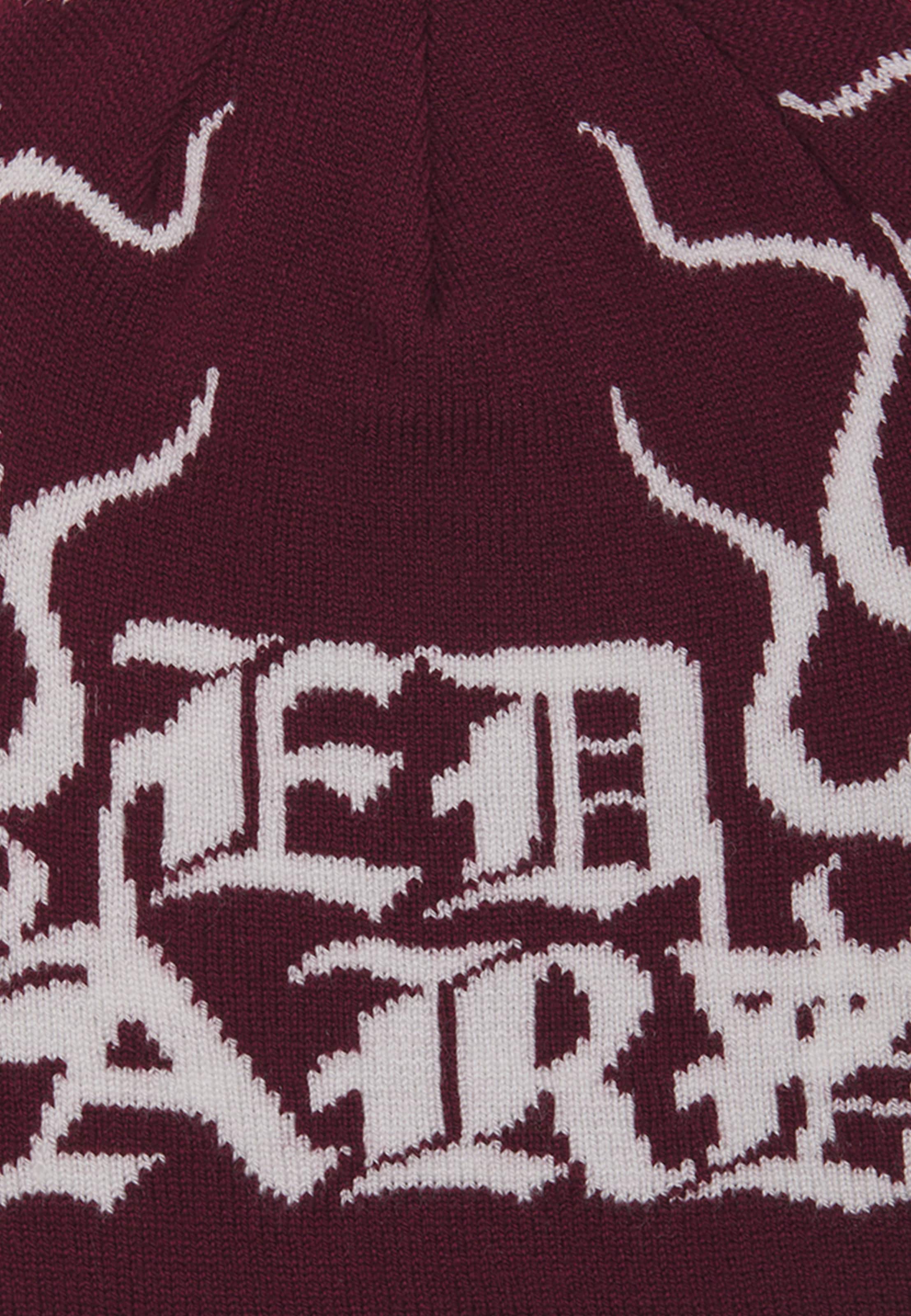 Ed Hardy Mütze in Rot