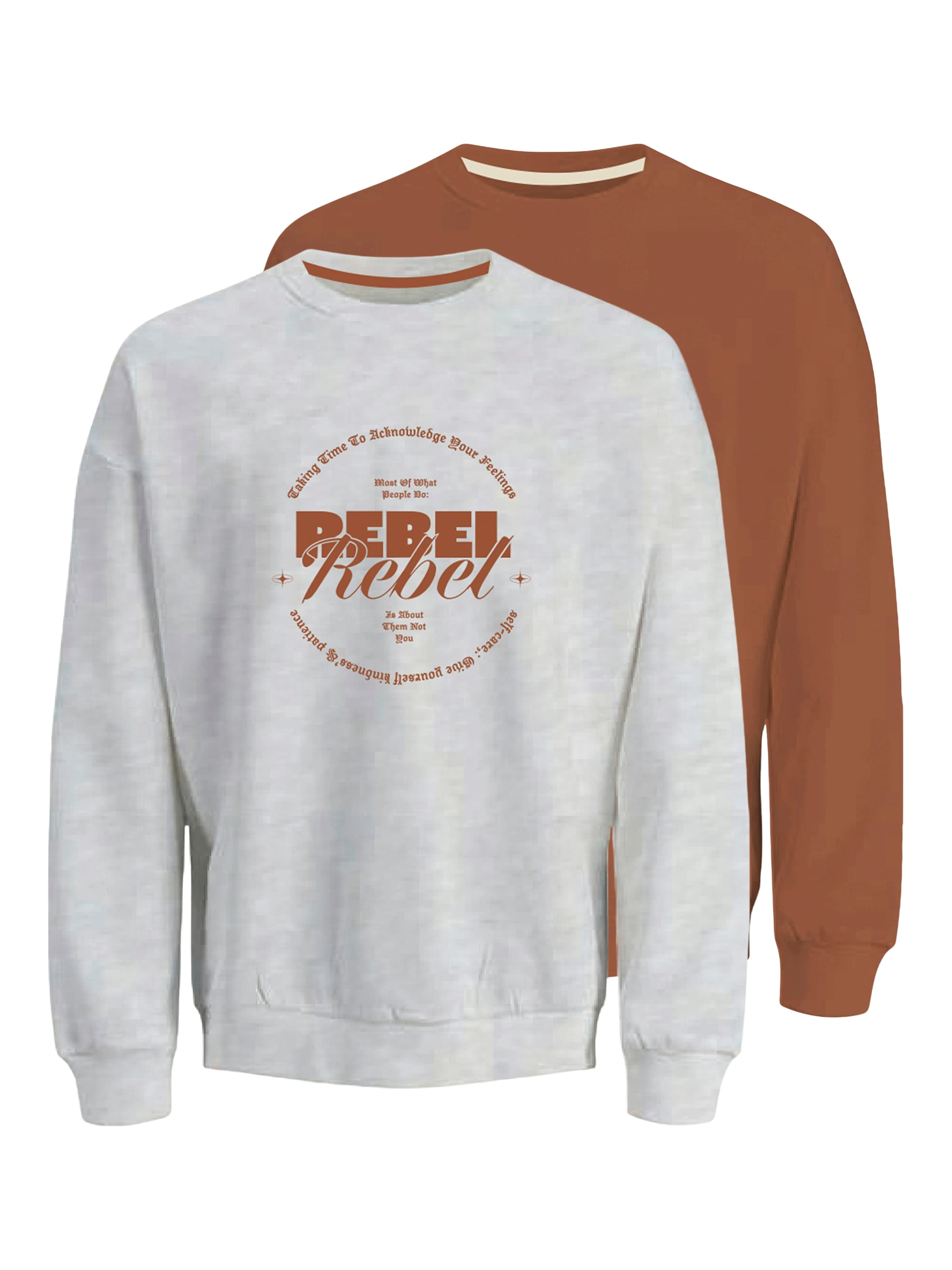 brūns JJ Rebel Sportisks džemperis 'JREBGRAY': no priekšpuses