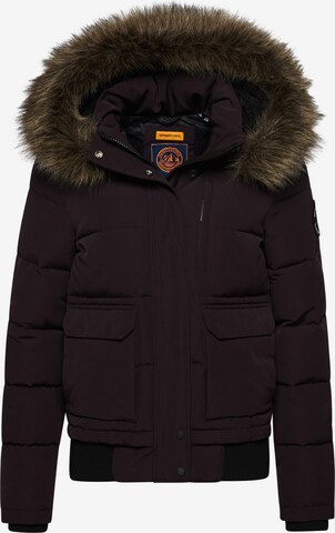 Superdry Winterjas 'Everest' in Lila: voorkant