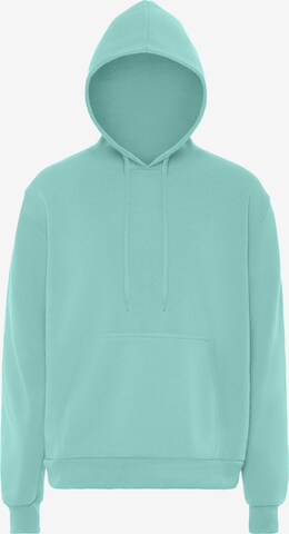 ALEKO Sweatshirt in Green: front