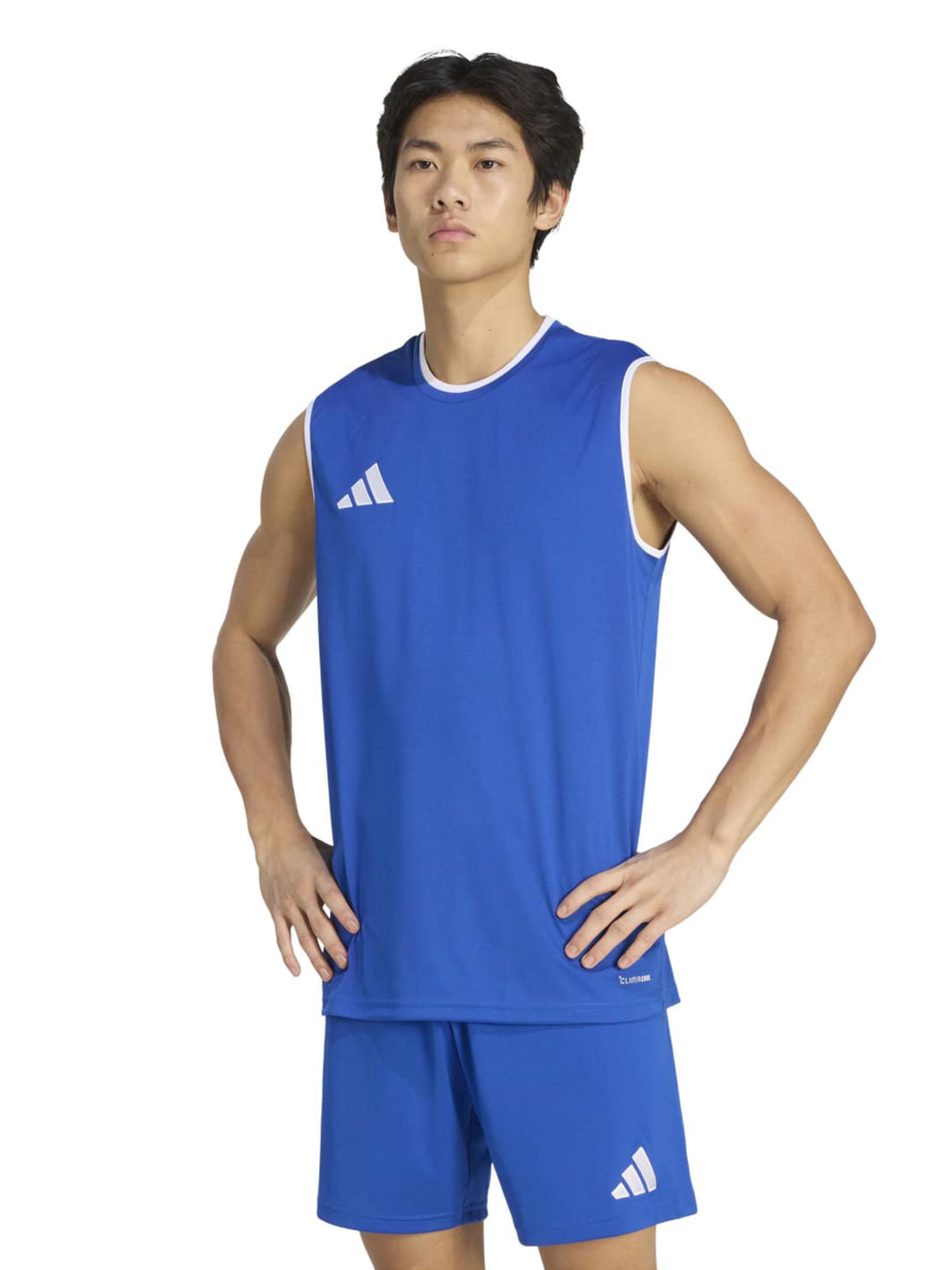ADIDAS PERFORMANCE Functioneel shirt 'ENT26' in Blauw: voorkant